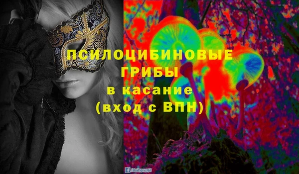 мяу мяу мука Абаза