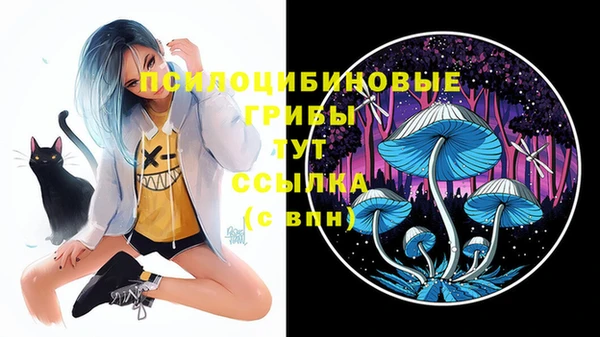 кокс Абдулино