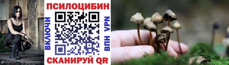Псилоцибиновые грибы Psilocybe  купить наркоту  Алагир 